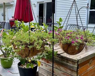 Double Shepherd Hool with Hanging Planter Baskets