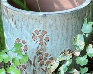 One of Many Plants and Planters