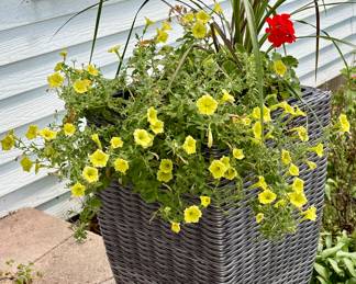 (2) Tall Wicker Planter and Plant