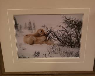 Bear print