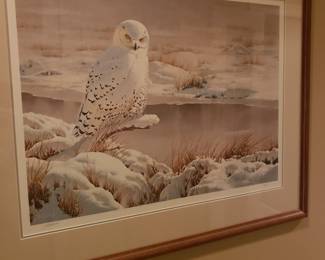 Signed owl print
