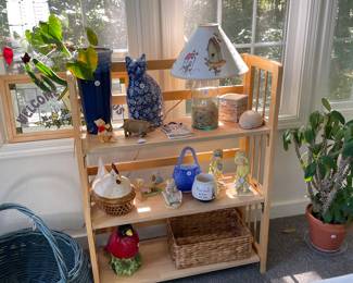 bookcase & decor & plants