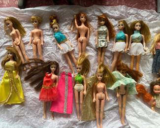 Barbies - lots of clothes and dolls