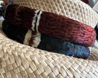 Close-up - bird feather band.