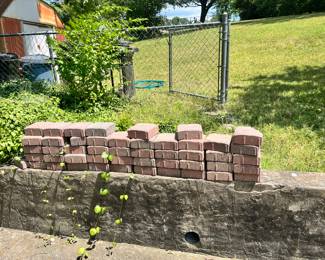 Paver bricks