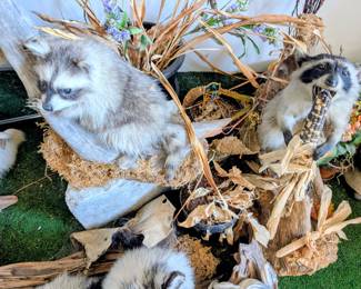 vintage taxidermy
