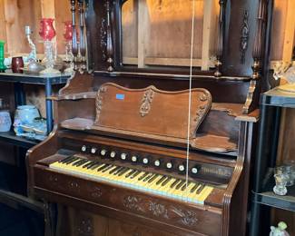 Organ