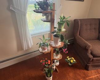 . . . great plant stand and live plants!