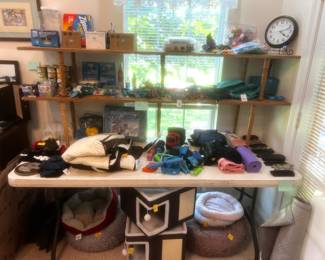 Need cat supplies??
