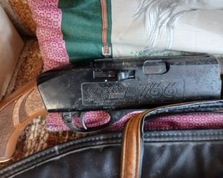 Crosman BB gun