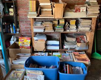 There are some magazines in plastic bags here, as well as more exposed books.