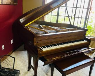 Player Baby Grand Piano