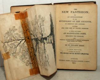 THE NEW PANTHEON