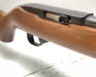 RUGER MODEL 10/22 CARBINE .22LR CALIBER RIFLE w SOFT CASE
