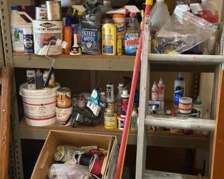 Extendable Ladder With Paint And Chemicals