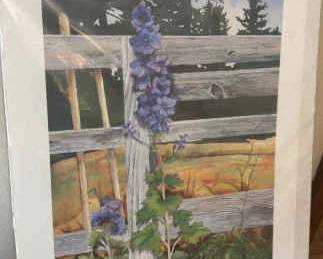 Delphinium Watercolor Sallys Garden By Bruce Edwards With Certificate Of Authenticity
