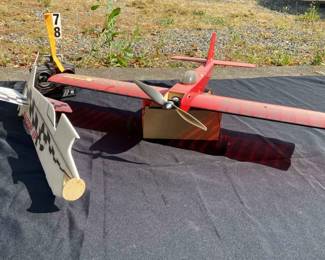 SRX 250 And Styrofoam Raptor EP Model Plane With Propellers