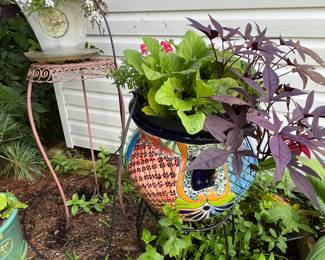Garden plants