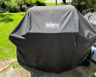 Weber grill