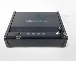 SentrySafe QAP1E Gun Safe, Key and Digital Lock