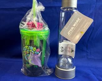 Disney park items