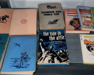 Chapter Books for Teens