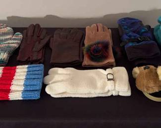 Gloves And Ear Muffs