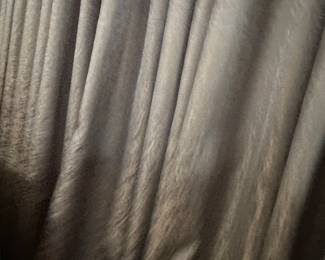 #121 - $250 - Blue and gold drapes floor to ceiling
