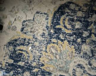 #120 - $170 - Area rug 10.9x15.3