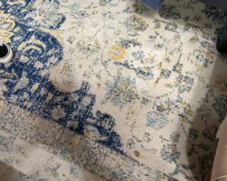 #120 - $170 - Area rug 10.9x15.3
