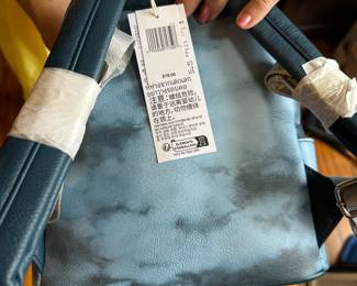 #12 - $80 - Mickey Mouse Disney park lounge fly backpack blue