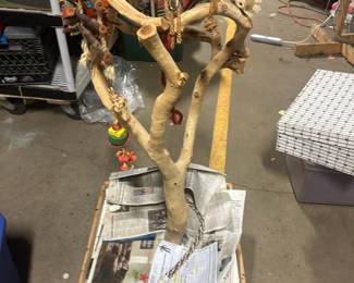 Pet bird tree