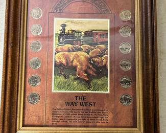 Buffalo nickel collection