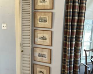 Audubon Bird lithographs Bowen collection