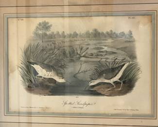 Audubon Bird lithographs Bowen collection
