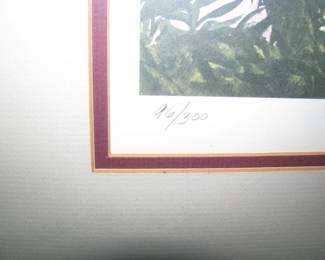 96/300