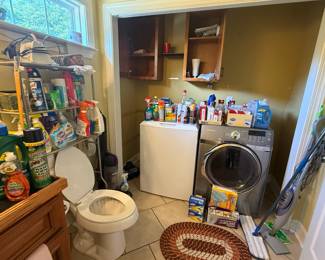 cleaning supplies, washer dryer