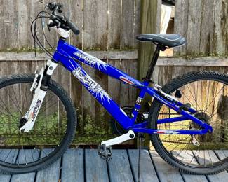 Avico 7-Speed Bike