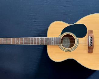 A Beautiful Mitchell Guitar