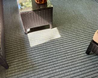 Indoor/Outdoor Rug