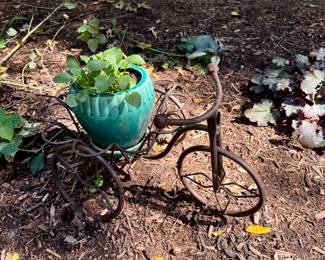 Metal Bike with Pot