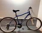 Schwinn City Series bike - Blue