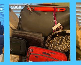 1859, 1860 1861.  Designer Purse Set One