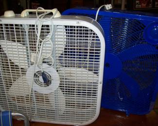 Fans