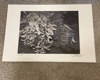 Beautiful artistic photograph of a snow scene  from the personal collection of Ms. Broyles. 