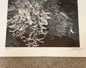 Beautiful artistic photograph of a snow scene  from the personal collection of Ms. Broyles. 