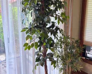 Faux Ficus And Bamboo Plant