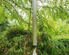 Windchime