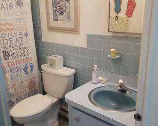 Updated toilet; bath vanity