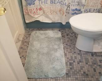 Shower curtain; bath mat